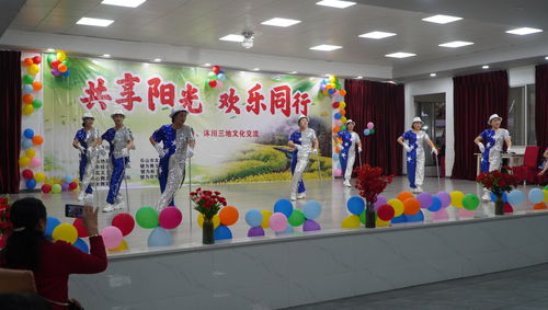 共享陽(yáng)光 歡樂同行 文化交流活動(dòng)在犍為舉行