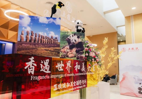 香 遇世界,五糧液和美全球行引領中國白酒 走出去 新征程