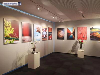 紀念中日邦交正常化50周年 “中國故宮攝影和日本插花藝術展”在東京開幕