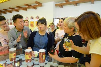 “草晶華破壁草本”成中法青年文化交流主題